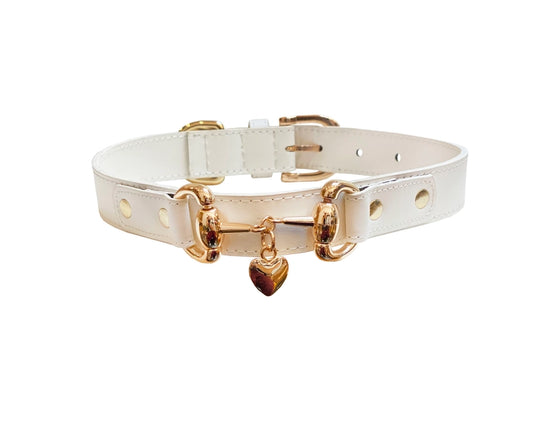 Luxury Dog Collar