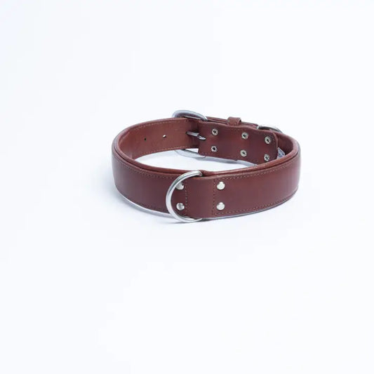 Leather Dog Collar BLK & BRN